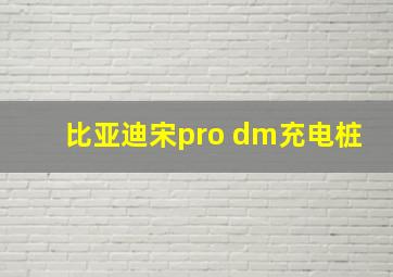 比亚迪宋pro dm充电桩